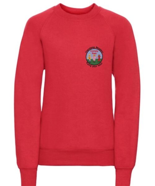 Comely Park Nursery sweater & logo