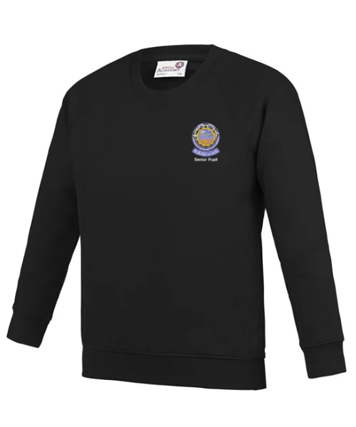Bowhouse Primary School Senior Pupil Round Neck Sweater