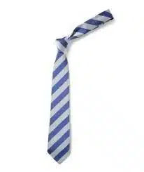 DENNY PRIMARY SCHOOL TIE