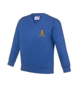Avonbridge Primary V neck sweater
