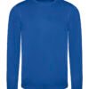 Variation picture for Royal Blue